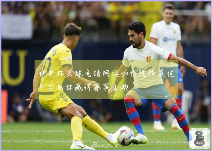 世界杯买球竞猜网站如何选择最佳平台助你赢得赛事乐趣