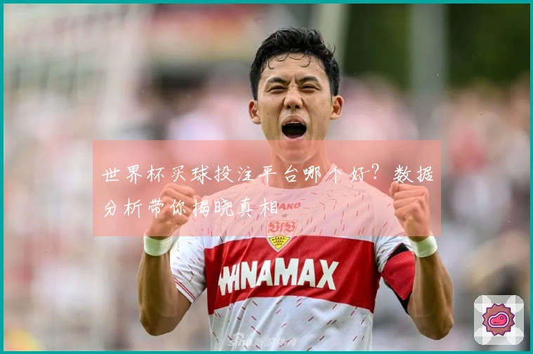 世界杯买球投注平台哪个好？数据分析带你揭晓真相