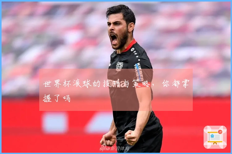 世界杯滚球的技巧与策略，你都掌握了吗