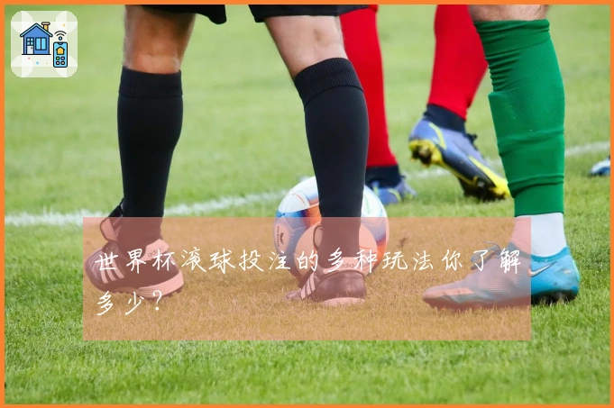 世界杯滚球投注的多种玩法你了解多少？