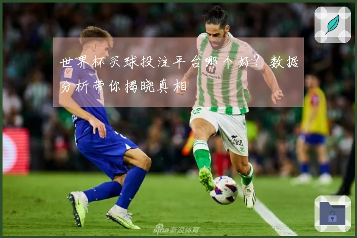 世界杯买球投注平台哪个好？数据分析带你揭晓真相