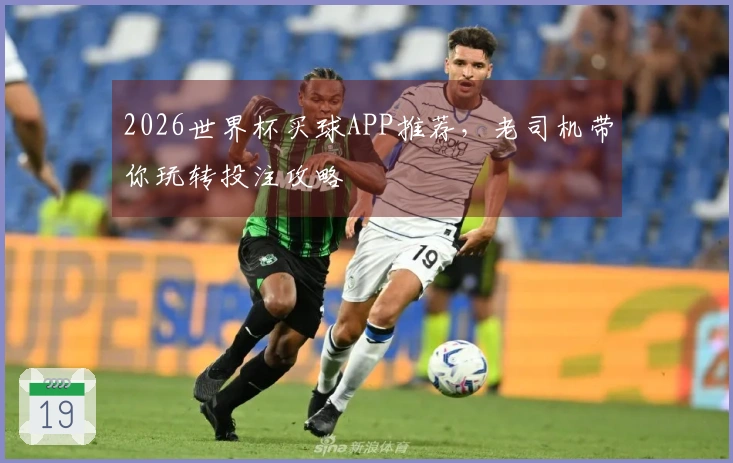 2026世界杯买球APP推荐，老司机带你玩转投注攻略