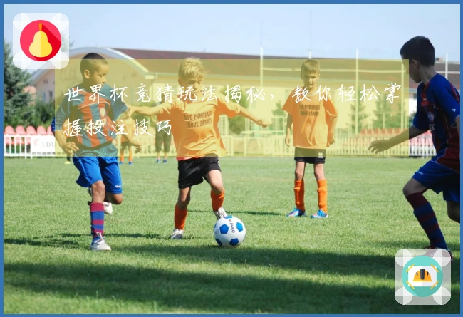 世界杯竞猜玩法揭秘，教你轻松掌握投注技巧