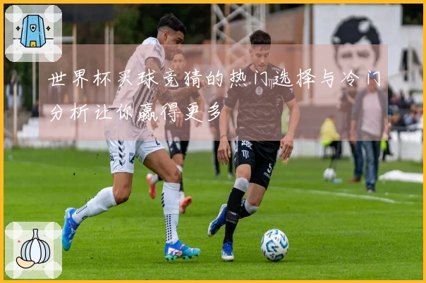 世界杯买球竞猜的热门选择与冷门分析让你赢得更多