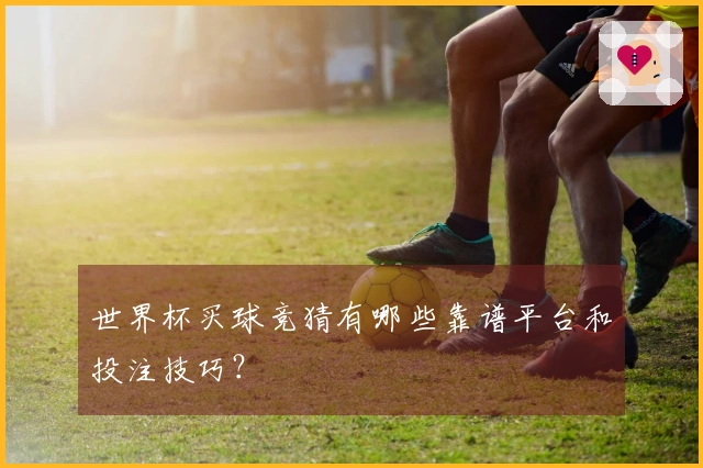 世界杯买球竞猜有哪些靠谱平台和投注技巧？