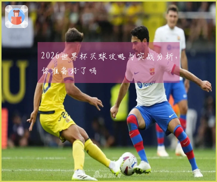 2026世界杯买球攻略与实战分析，你准备好了吗